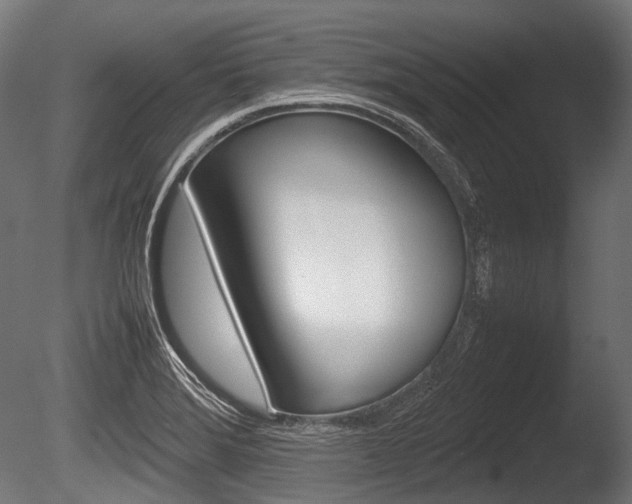 X0000086081372200703231038