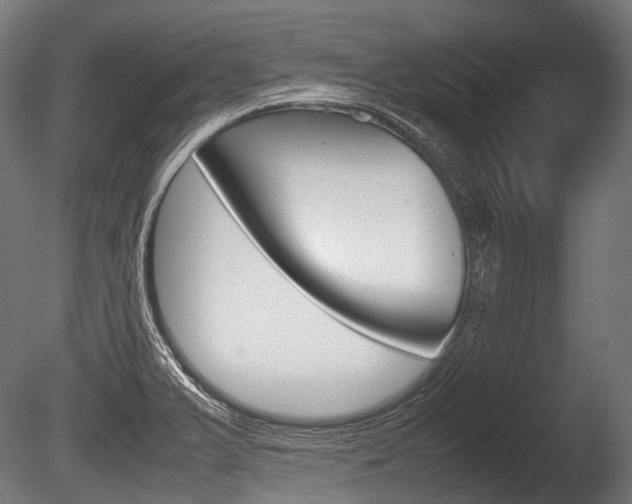 X0000086081375200703231038