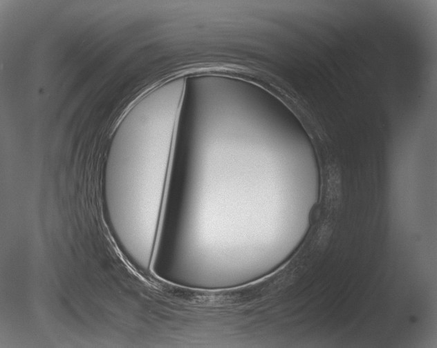 X0000086081377200703231038
