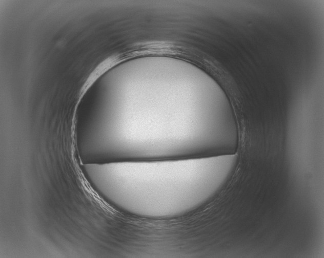 X0000086081378200703231038