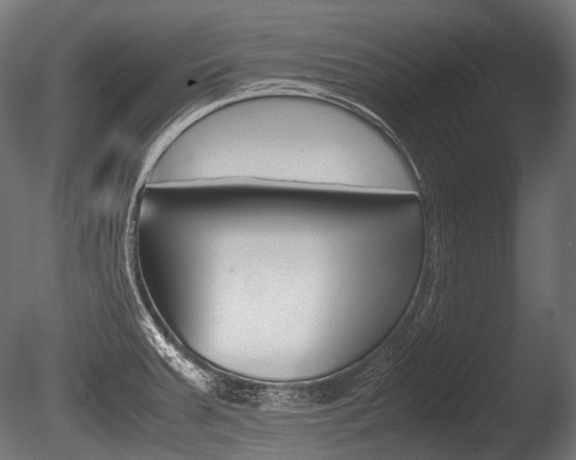 X0000086081379200703231038