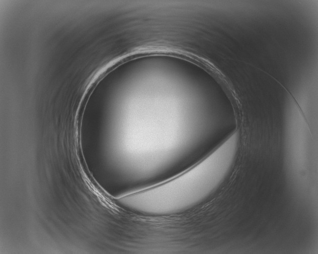 X0000086081380200703231038
