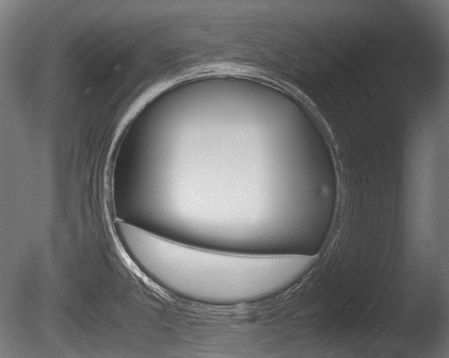 X0000086081381200703231038