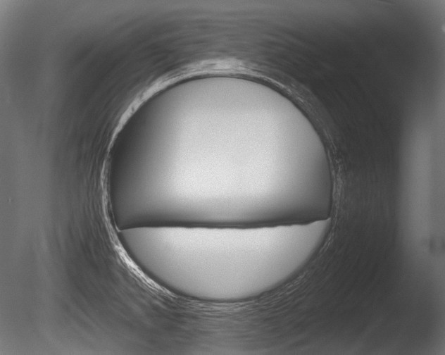X0000086081382200703231038