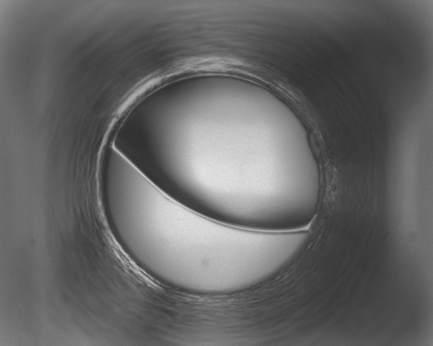 X0000086081384200703231038