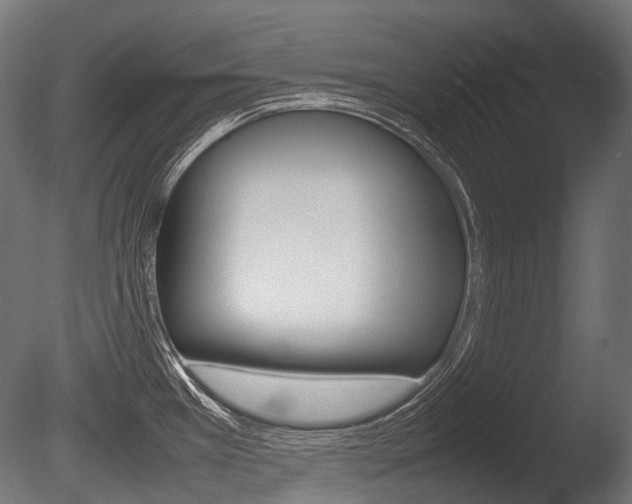 X0000086081385200703231038
