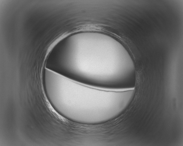 X0000086081387200703231038