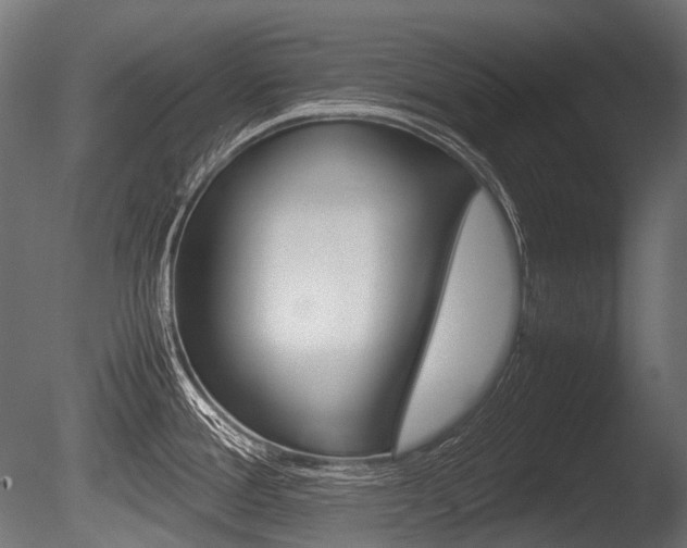 X0000086081388200703231038