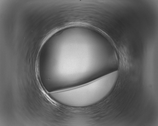 X0000086081391200703231038