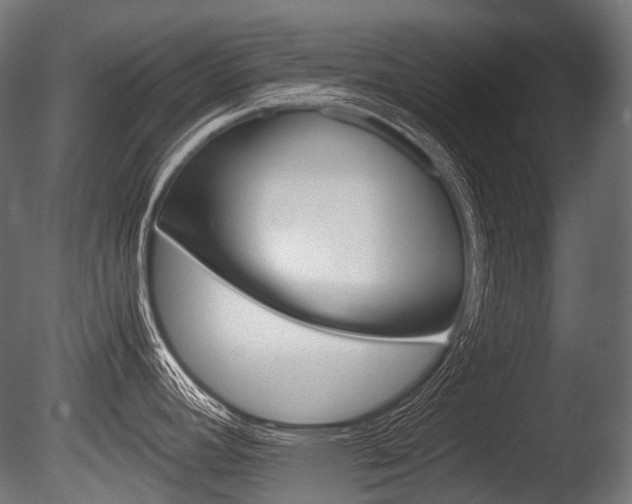X0000086081392200703231038