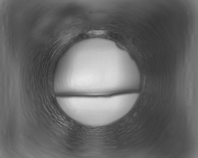 X0000086081393200703231037