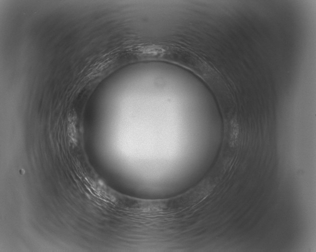 X0000086081394200703231037