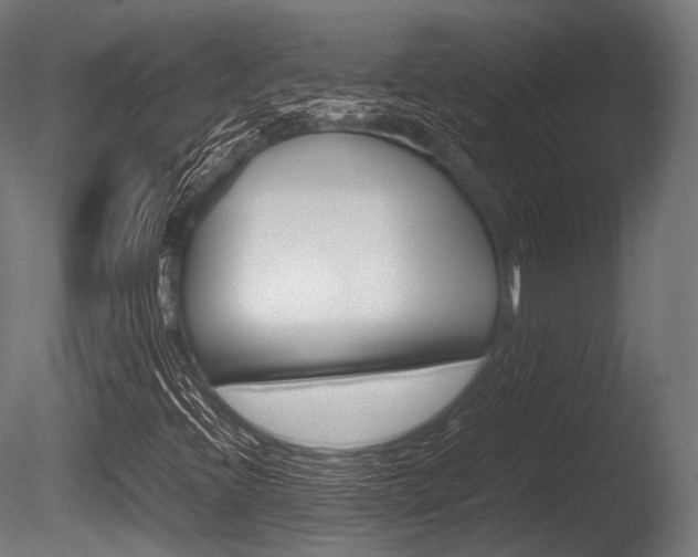 X0000086081396200703231037