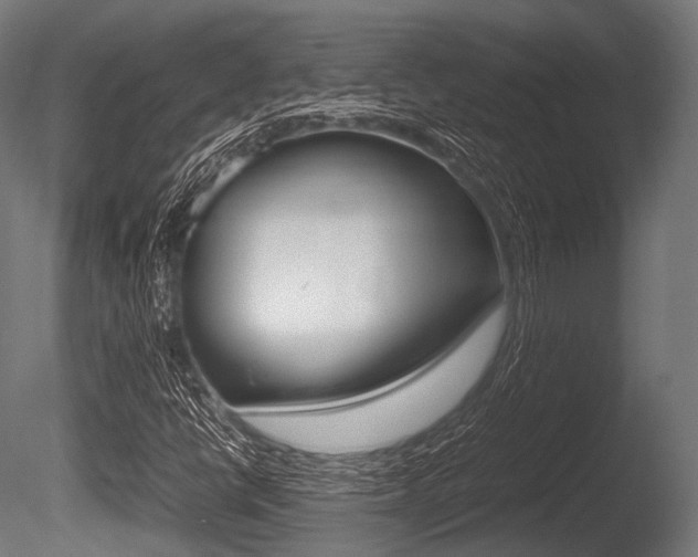 X0000086081398200703231037