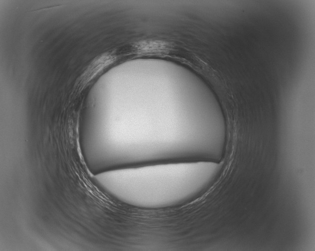 X0000086081401200703231037