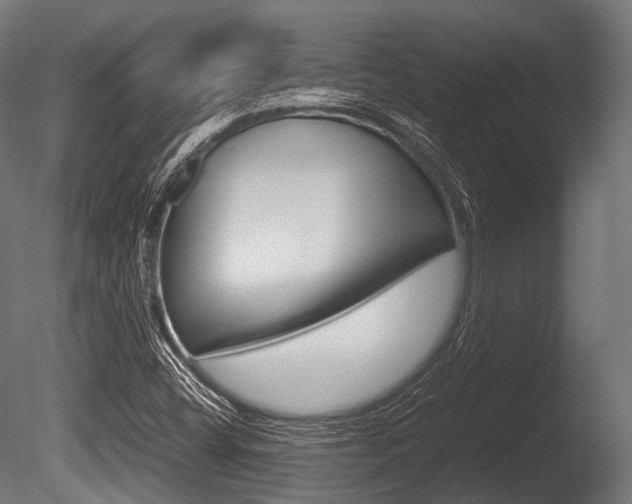 X0000086081404200703231037
