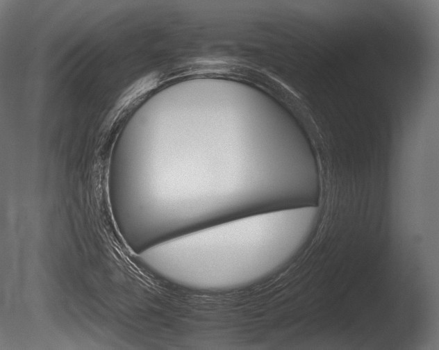 X0000086081411200703231037