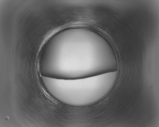 X0000086081413200703231037