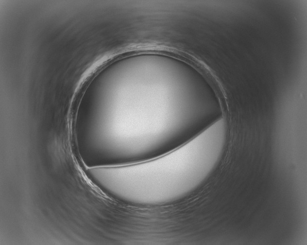 X0000086081416200703231037