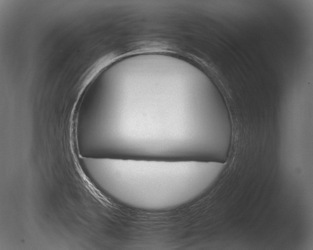 X0000086081423200703231038