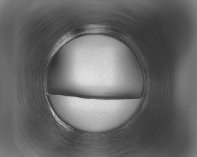 X0000086081425200703231038