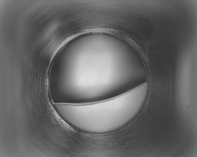 X0000086081428200703231038