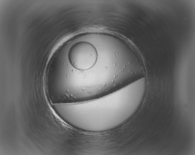 X0000086081432200703231038