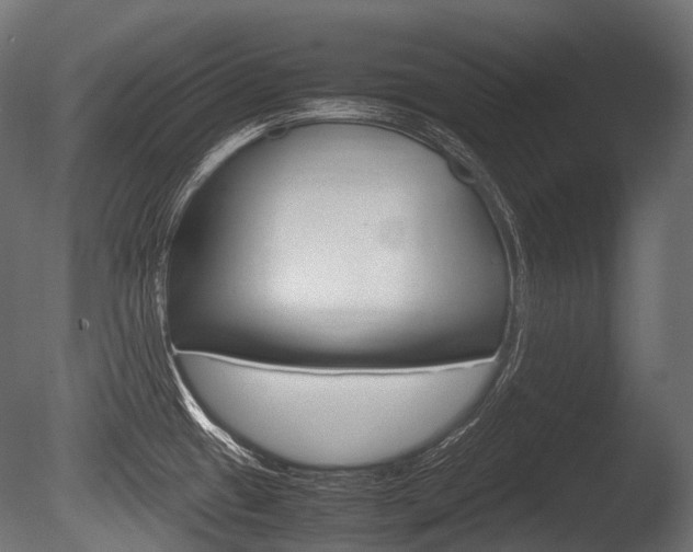 X0000086081433200703231038