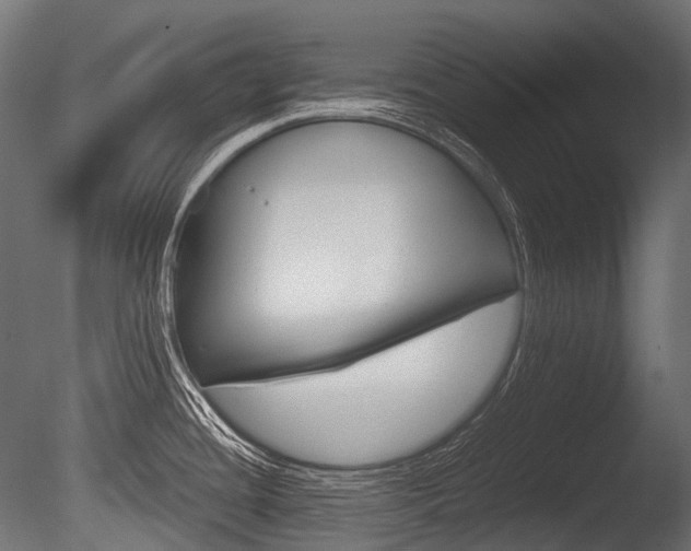 X0000086081436200703231038