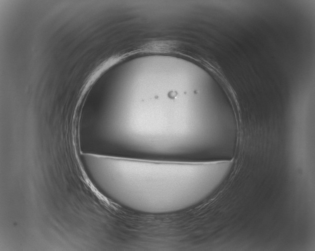 X0000086081437200703231038