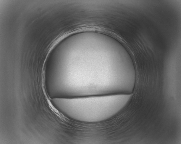 X0000086081439200703231038