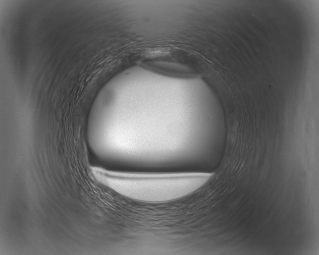 X0000086081441200703231037
