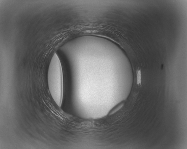 X0000086081444200703231037