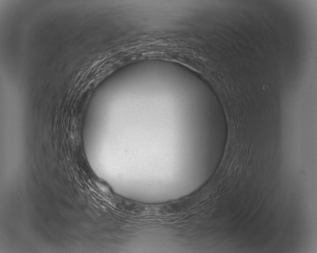 X0000086081445200703231037