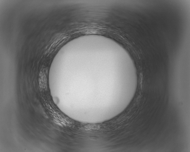 X0000086081446200703231037