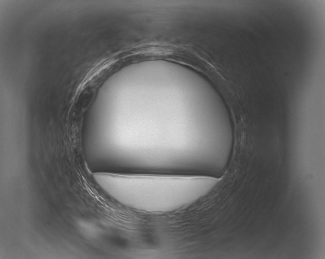 X0000086081448200703231037