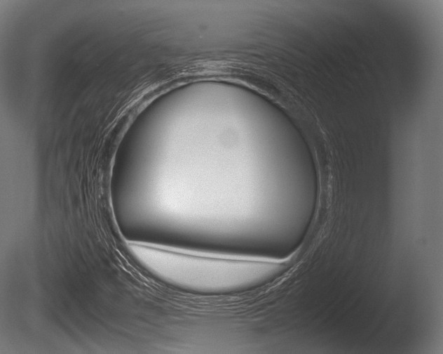 X0000086081449200703231037