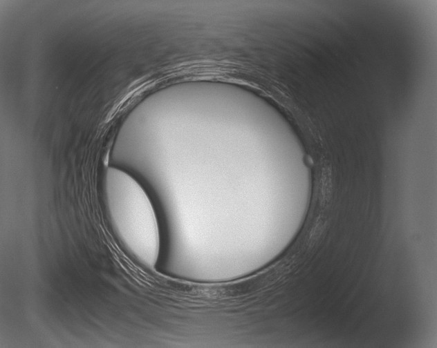 X0000086081451200703231037