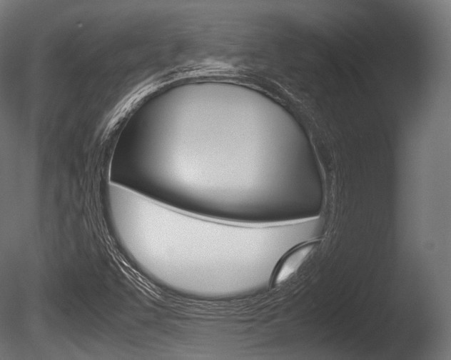 X0000086081455200703231037