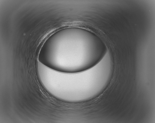 X0000086081457200703231037