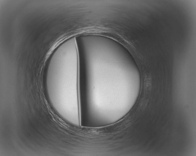X0000086081459200703231037
