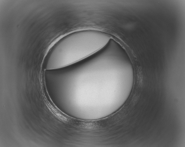 X0000086081460200703231037
