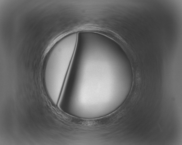 X0000086081461200703231037