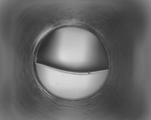 X0000086081463200703231037