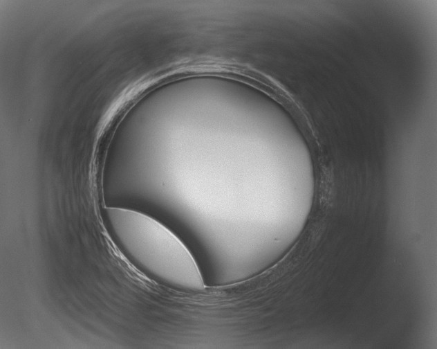 X0000086081464200703231037