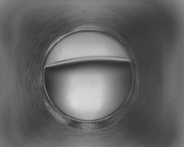X0000086081465200703231037