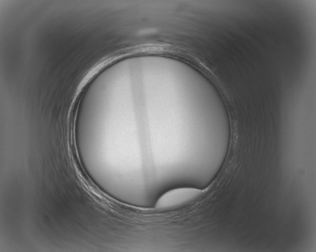 X0000086081467200703231037