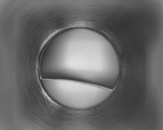 X0000086081468200703231037