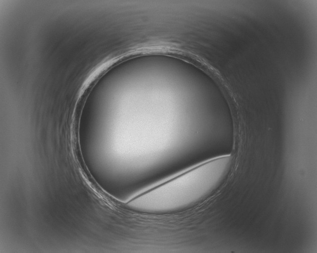X0000086081469200703231037
