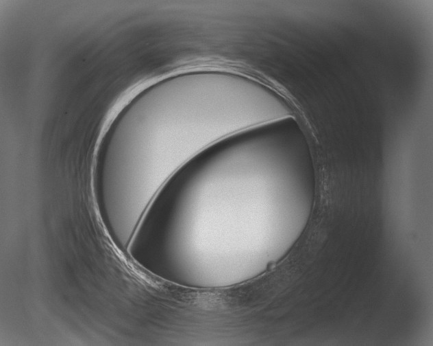 X0000086081472200703231036